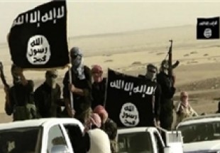 تحرکات عناصر تکفیری داعش برای تاسیس «شورای مشورتی»