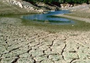 خسارت 10 ميليارد ريالي به بخش کشاورزي در شهرستان فارسان