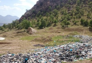 کوهي از زباله در دل جنگل‌، مسئولين چه مي‌كنند؟!+تصویر