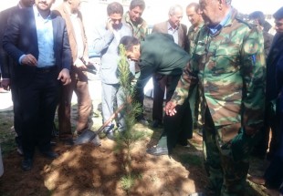 توزيع و کاشت 1000 اصله نهال درخت در مدارس شهر لردگان + عکس