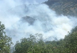 چهار هکتار از جنگل‌های لردگان در آتش سوخت/ دفع غیراصولی زباله‌ها عامل آتش‌سوزی در جنگل