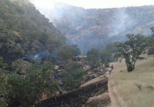 دو هکتار از جنگل‌هاي لردگان در آتش سوخت/ دفع غيراصولي زباله‌ها عامل آتش‌سوزي در جنگل+ تصاوير