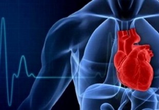 ترمیم قلب های آسیب دیده با سلول های خودشفا دهنده