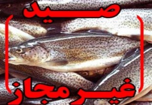 دستگیری متخلفان صید غیرمجاز ماهی در اردل