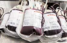 تولید 7 هزار واحد فرآورده خونی در بروجن/مشارکت 97 درصدی آقایان در اهداء زندگی به نیازمندان