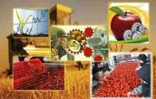 افزایش ۵۰ هزارتنی به ظرفیت فرآوری محصولات کشاورزی چهارمحال و بختیاری
