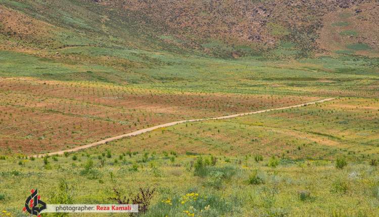 تجهیز زمین‌های کشاورزی روستای خوی به شبکه آبیاری نوین
