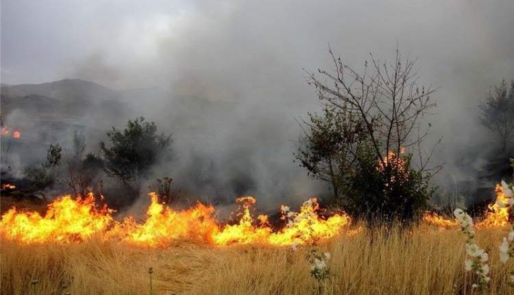 دو هکتار از باغات اردل در آتش سوخت