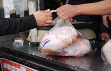 کاهش 50 درصدی تخصیص نهاده‌های خوراکی؛ علت افزایش قیمت مرغ