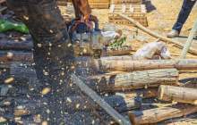 یک روز کاری با فعالان صنعت چوب
