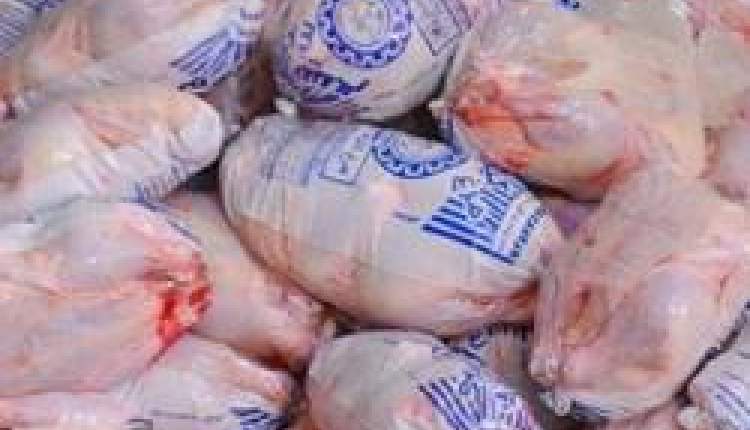 ذخیره سازی ۲۳۰ تن مرغ منجمد در سردخانه ها
