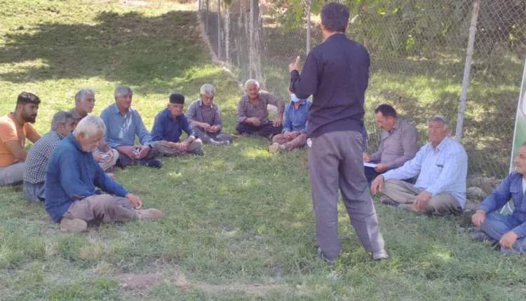 برگزاري دوره آموزشي کاشت زعفران در اردل