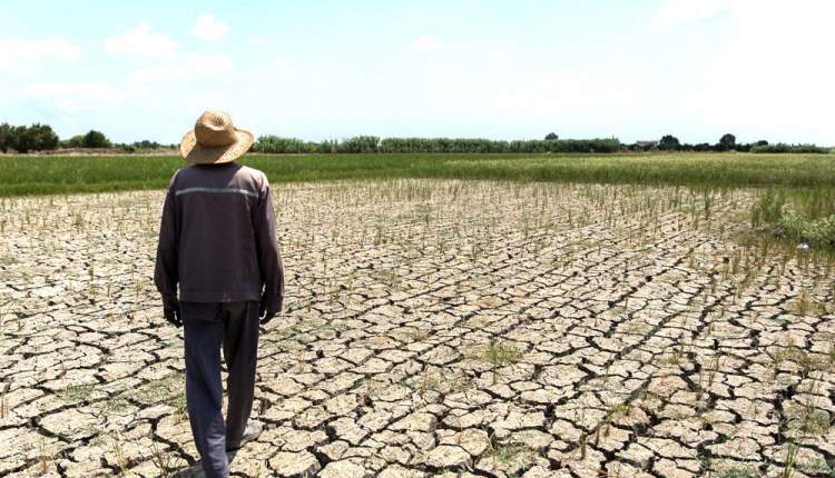 خسارت خشکسالی در حوزه زراعت را کنترل کنیم