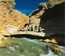 بام ایران، بهاری ترین اکوموزه ایران
