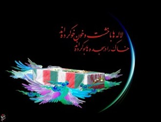 برادر شهیدم در خواب به من گفت: مهیمان اباعبدالله الحسین(ع) هستم