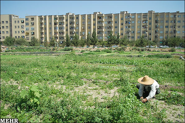 بحران در کمین کشاورزان شهرکرد