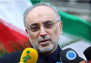 تیم مذاکره‌کننده ایران با در نظر گرفتن منافع ملی مذاکرات را پیش می‌برند/ناامید نیستیم