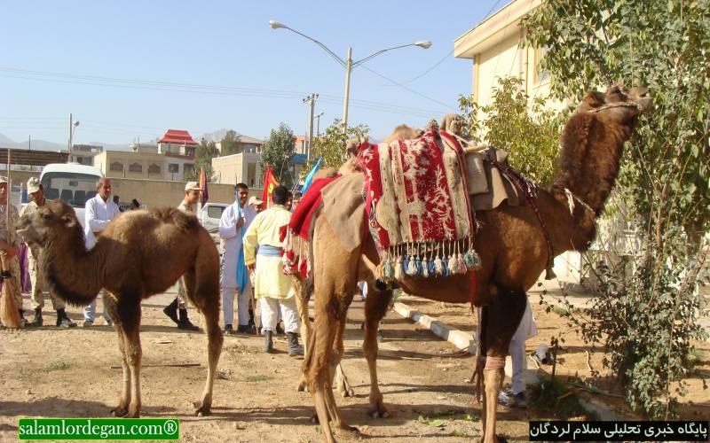 تصاوير حرکت نمادين واقعه غدير در لردگان