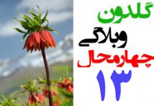 چرا فوتبال چهارمحال و بختیاری در ورزش کشور جایگاهی ندارد؟