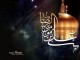 نقطه تعالي و رشد جامعه اسلامي پيروي از ولايت است