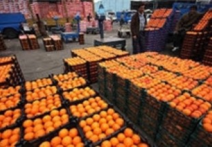 توزيع ميوه شب عيد شهرستان اردل از 25 اسفند آغاز مي شود