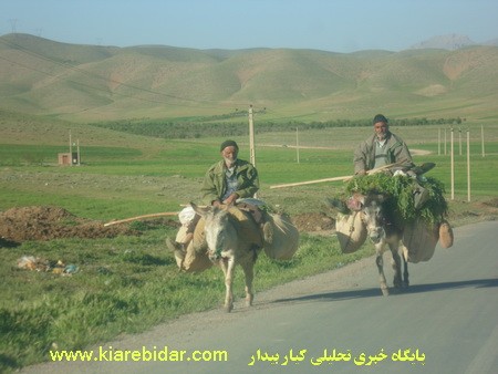 دود از کنده بلند مي شود!