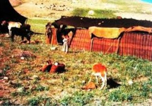 ترانه های برزگری در چهارمحال و بختیاری