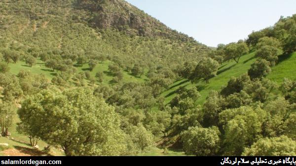 عکس هاي ناب و ديدني از طبيعت بکر لردگان