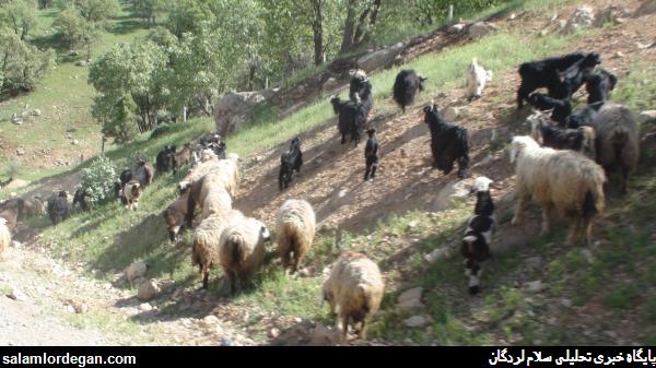 عکس هاي ناب و ديدني از طبيعت بکر لردگان