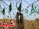 انتشار فراخوان مقاله و کتاب اولین کنگره ملی شهدای چهارمحال و بختیاری