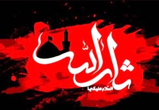 چرا به امام حسين ـ عليه السّلام ـ ثار الله مي‌گويند؟