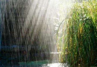 بارش باران در اردل تا 72 ساعت آينده ادامه دارد