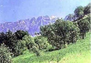 اهداي لوح ثبت ذخيره گاه زيست کره تنگ صياد-سبزه کوه