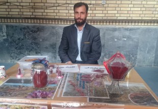 كشت زعفران براي نخستين بار با دستان بسيجي لردگاني