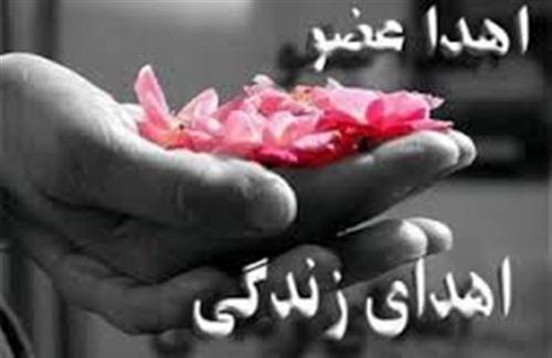 استادی که با مرگش درس زندگي داد/ اهداء اعضاي بدن محسن فاضلي بروجني به بيماران نيازمند