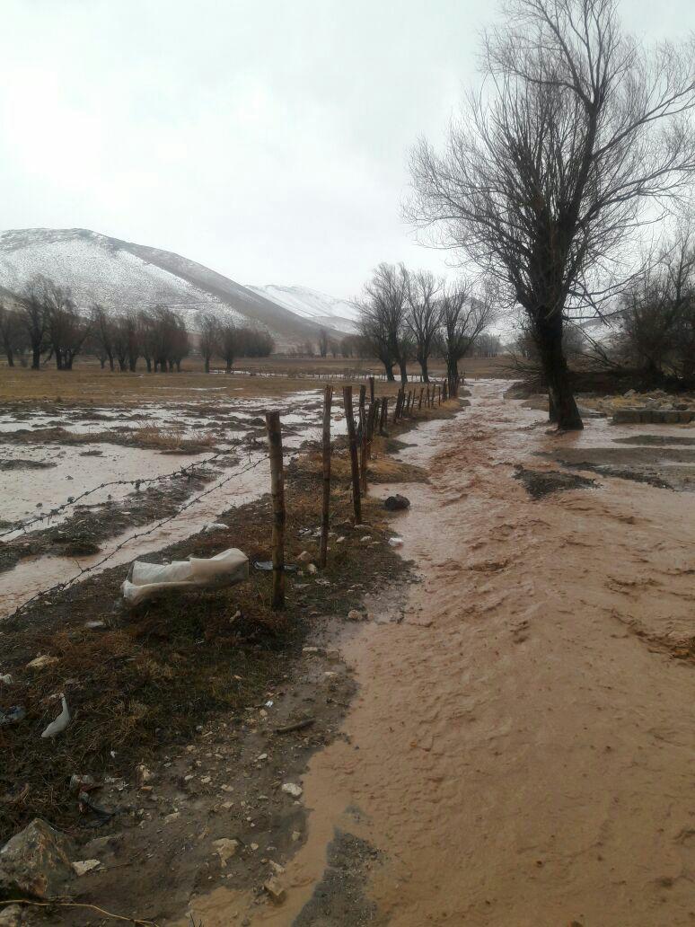 سیل کوهرنگ