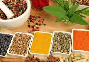 غربت گياهان دارويي در بام ايران زمين