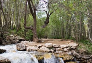 معرفي مکان هاي تفريحي و ديدني شهرستان لردگان + تصاوير