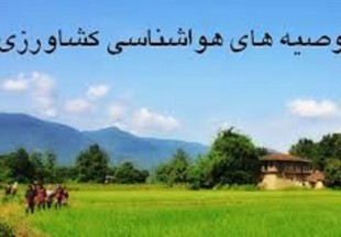 کشاورزان تمهداتي در جهت کاهش سرمازدگي درر روز هاي آخر هفته داشته باشند