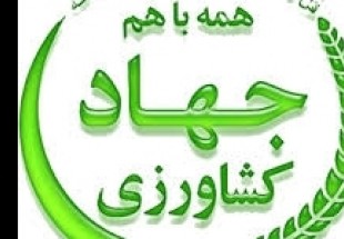 عرضه 33 تن برنج سفيد جهت تنظيم بازار در شهرستان فارسان