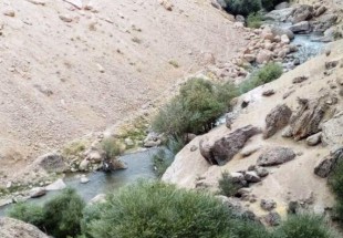 مرگ خاموش محيط زيست و اکوسيستم جانوري در شهرستان اردل