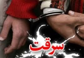 دستگيري ۸ سارق با ۱۱ فقره سرقت در چهارمحال و بختياري