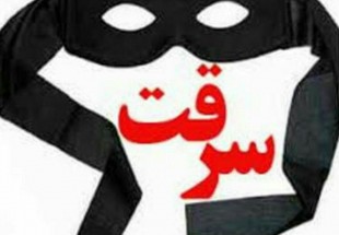 باند سارقان حرفه اي سيم و كابل برق در چهارمحال و بختياري متلاشي شد