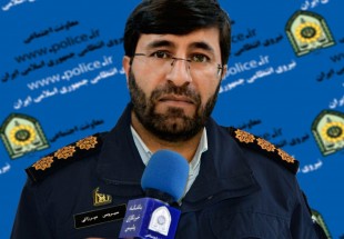 كشف 4 تن و 800 كيلوگرم چوب جنگلي قاچاق در شهرستان لردگان