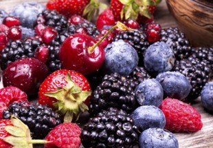 تاثیر مصرف توت و انگور بر تقویت سلامت ریه ها