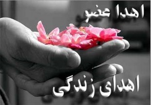 اهدای اعضا 11بیمار مرگ مغزی در چهارمحال و بختیاری