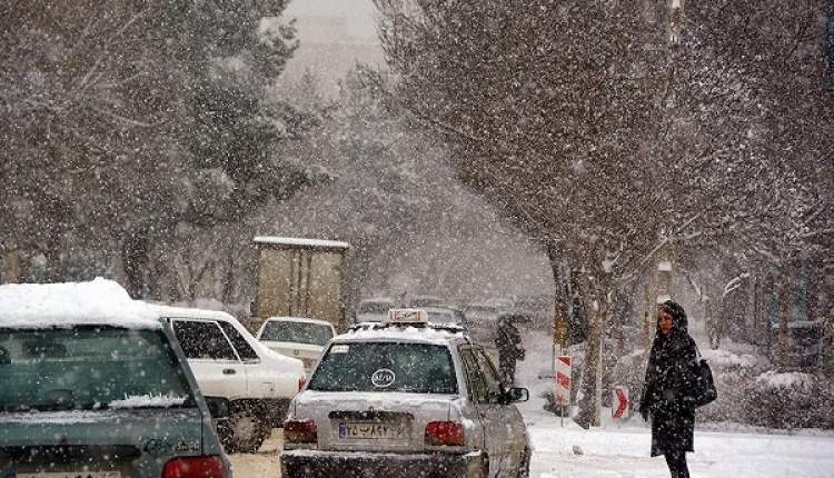 بارش برف منجر به تعطیلی برخی مدارس شد