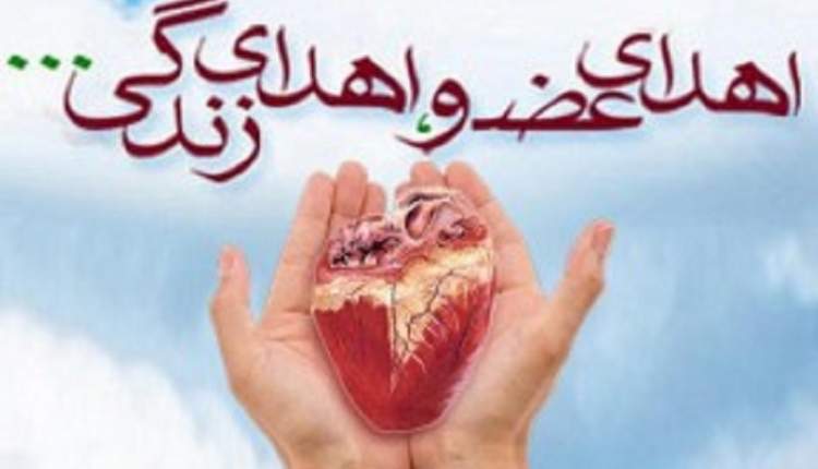 چهارمحال و بختیاری جزء 5 استان برتر اهدا کننده عضو/همودیالیز ۵۰۰بیمار کلیوی در استان