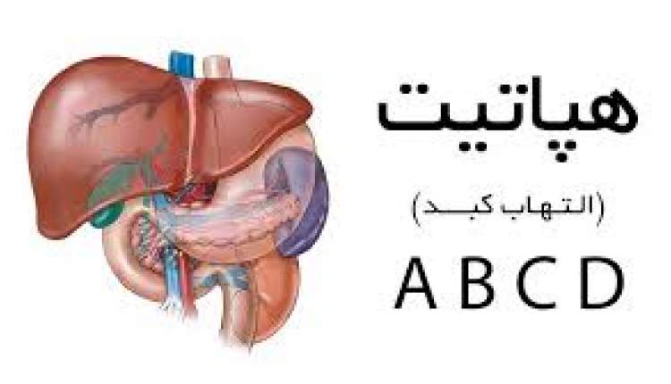 هپاتیت B و C مهمترین عوامل ایجاد کننده سرطان کبد هستند