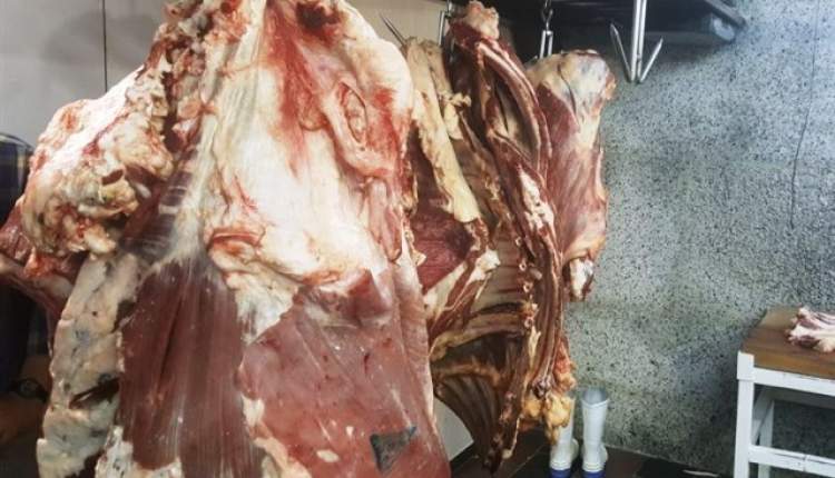 کشف و ضبط 220 کيلوگرم گوشت غيربهداشتي در شهر کاج